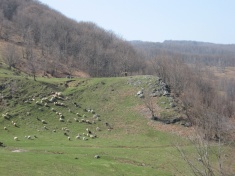 Berettyo-forras