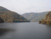 Tarnicai tavak
